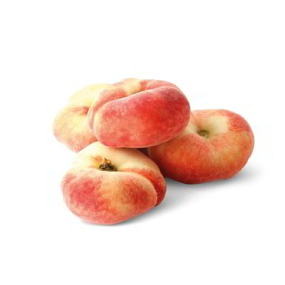 Pesche tabacchiere