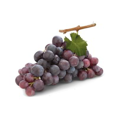 Uva nera palieri