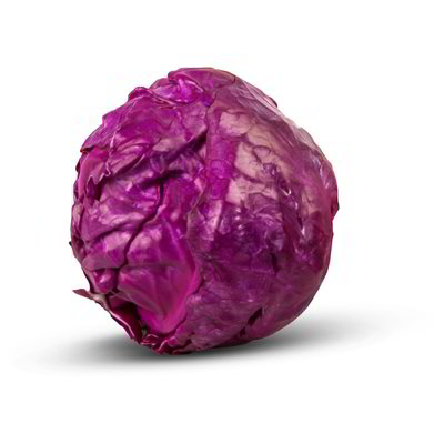 Cavolo cappuccio rosso