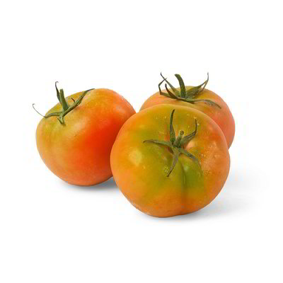 Pomodoro insalataro