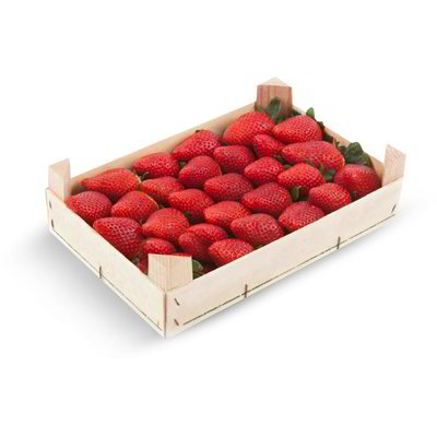 Fragole