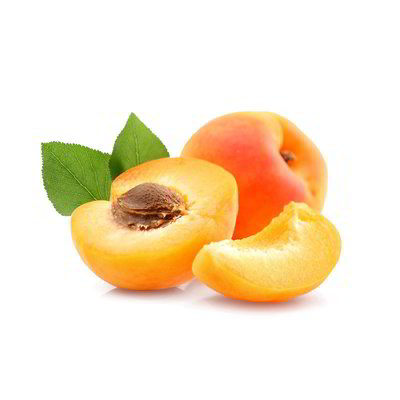 Albicocche