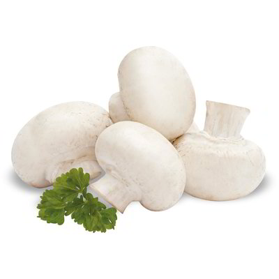 Funghi champignon interi