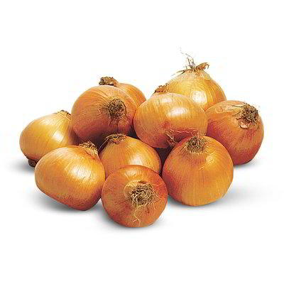 Cipolla dorata