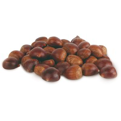 Castagne in rete