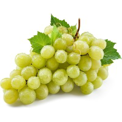 Uva bianca senza semi