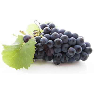 Uva nera black pearl