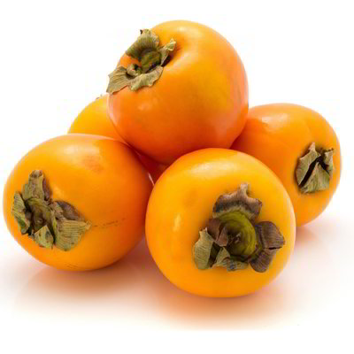 Cachi persimon