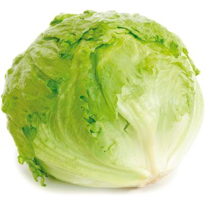 Lattuga iceberg