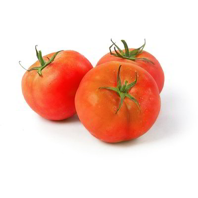 Pomodoro insalataro tondo