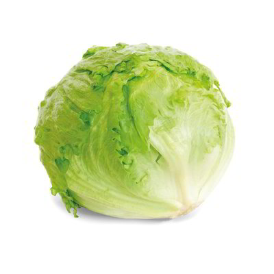 Lattuga Iceberg