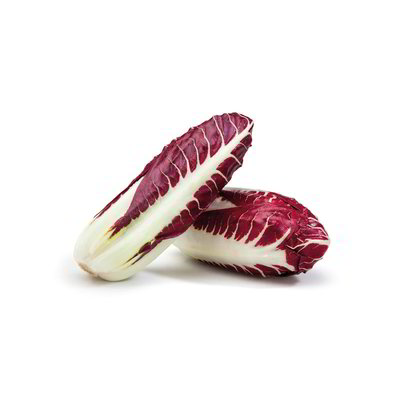 Radicchio rosso