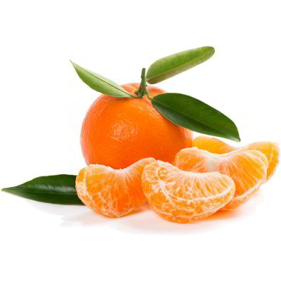 Clementine con foglia