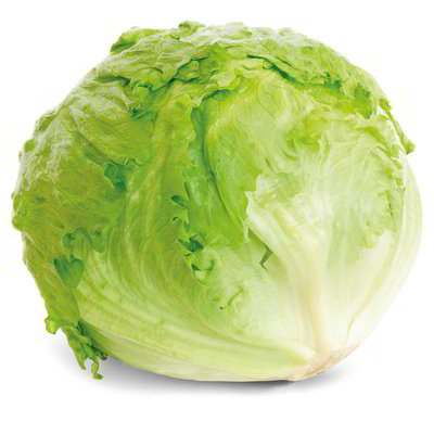 Lattuga fresh iceberg