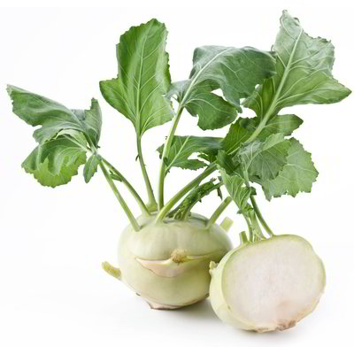 Cavolo rapa