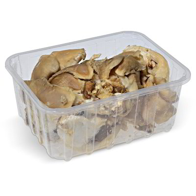 Funghi pleurotus