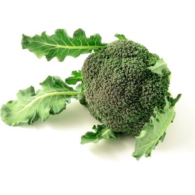 Mazzo di broccoletto