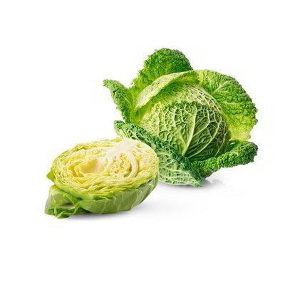 Cavolo verza
