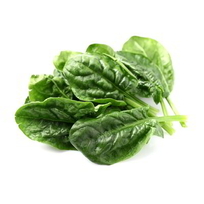 Spinaci