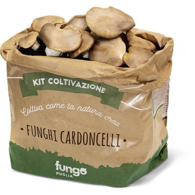 Balletta di funghi cardoncelli