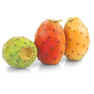 Fichi d'India