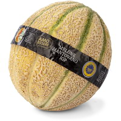 Melone Mantovano IGP