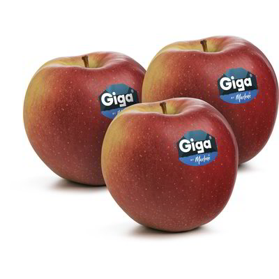 Mele Ipador-Giga