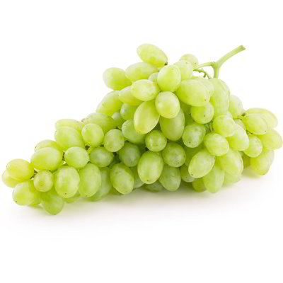Uva pizzutella