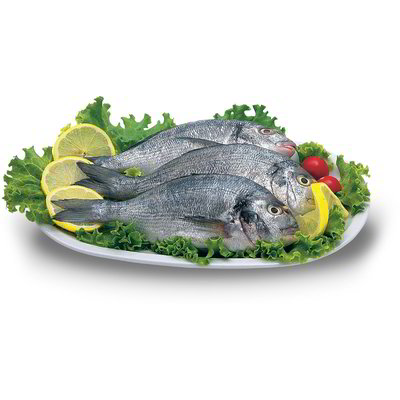 Orata eviscerata confezione risparmio