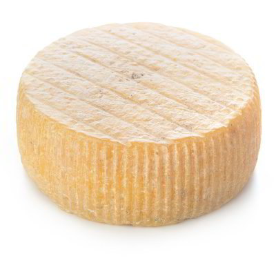 Formaggio di capra semistagionato