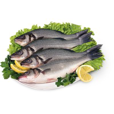 Branzino eviscerato