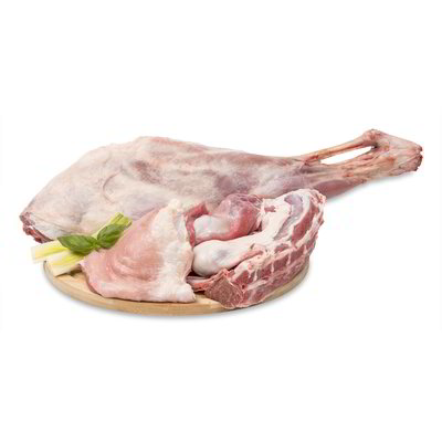 Agnellone