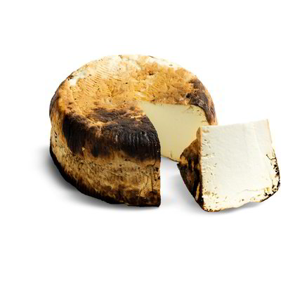 Formaggio ricotta al forno morbida