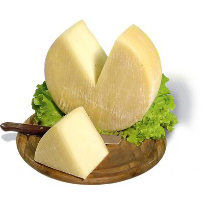 Formaggio flor di capra semistagionato