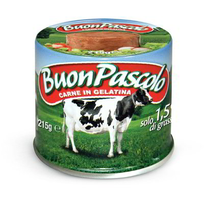 Carne bovina in gelatina