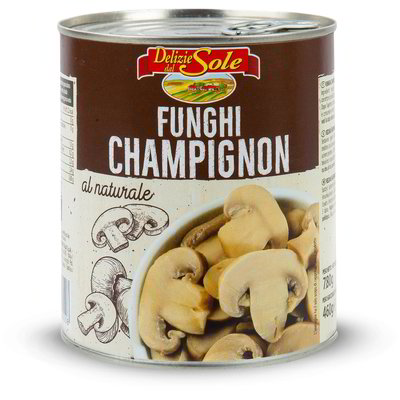 Funghi champignon