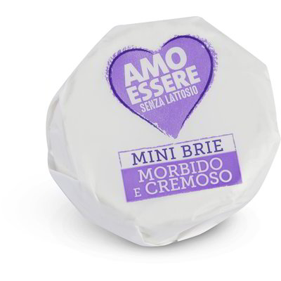 Formaggio brie mini senza lattosio