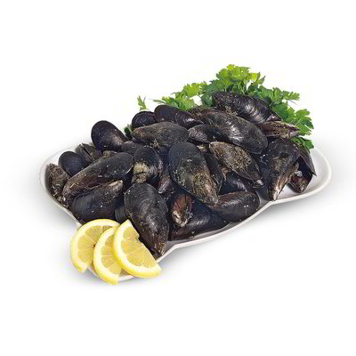 Cozze o mitilo