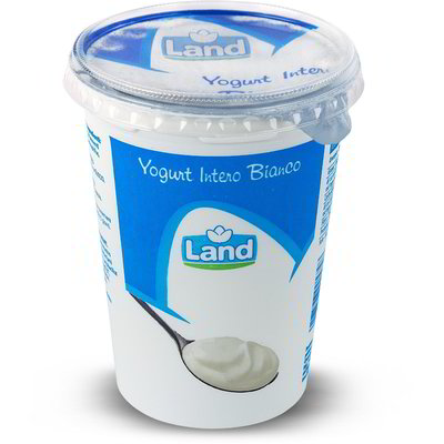 Yogurt intero bianco