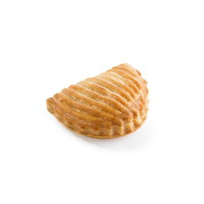 Calzone alle mele