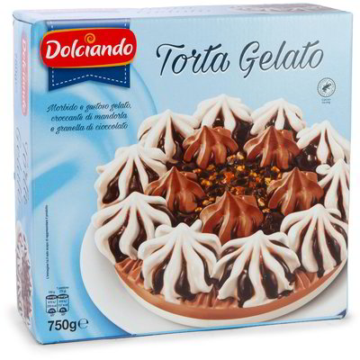 Torta gelato cacao e vaniglia