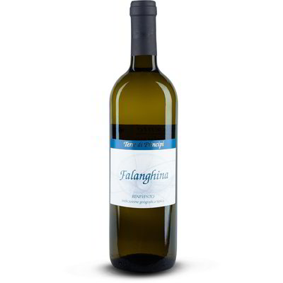 Vino Falanghina di Benevento IGT