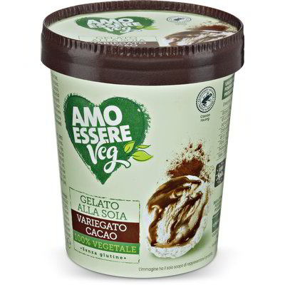 Gelato alla soia variegato cacao